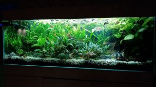 20260107_071634.mp4