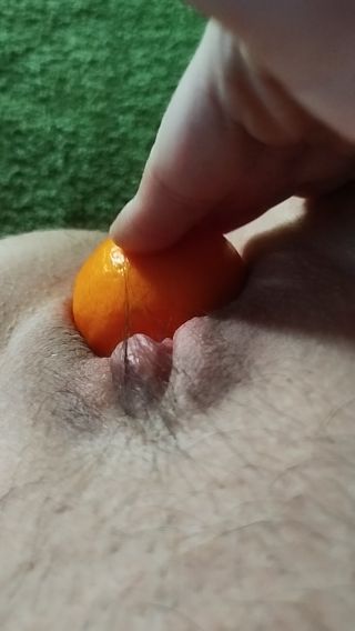 Paracuk17