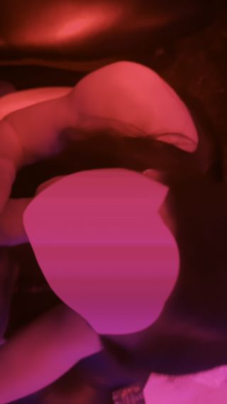 D349F735-3BFB-4F6C-8D00-382F7DAB1CB8.MP4