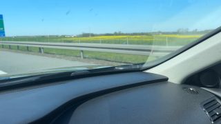 IMG_6869.mov