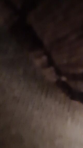 20260802_150303.mp4